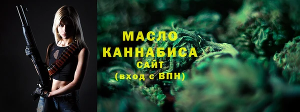 сатива Сатка