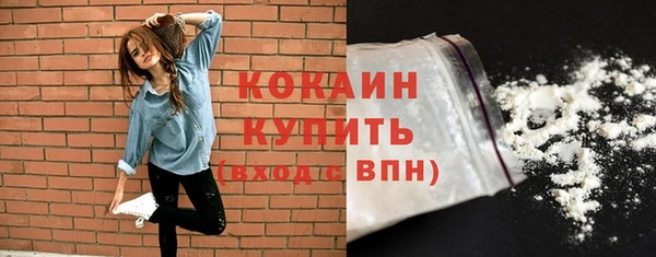 МДПВ Саяногорск