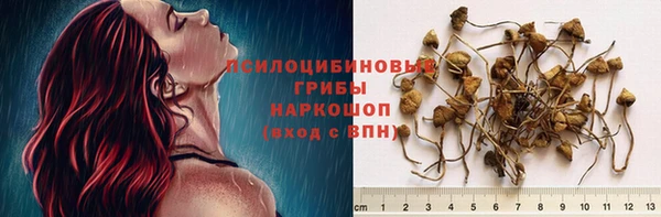 твердый Сафоново